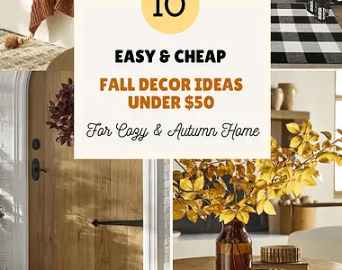 budget friendly fall decor ideas under $50